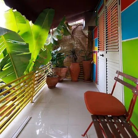 Viola - Lule Apartament *