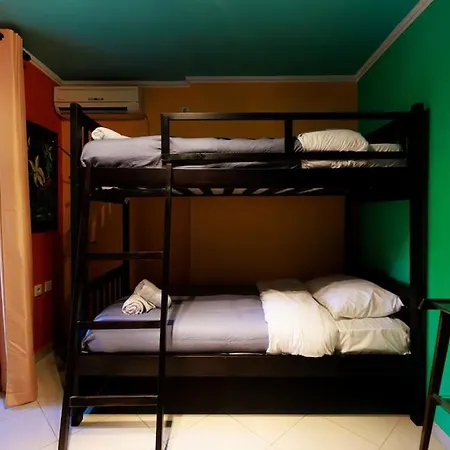 Viola - Lule * Тирана