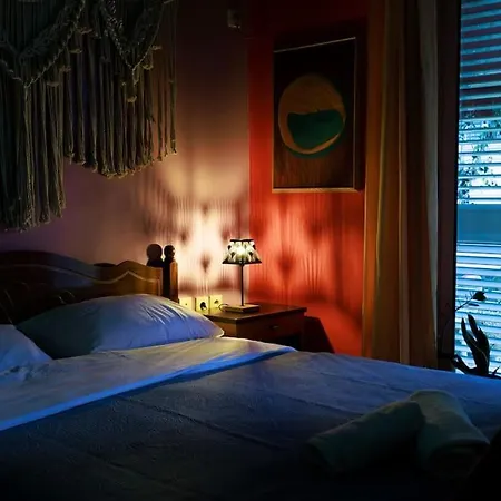 Viola - Lule * Tirana