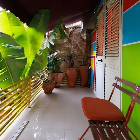 Viola - Lule Apartment Tirana