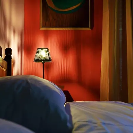 Viola - Lule * Tirana