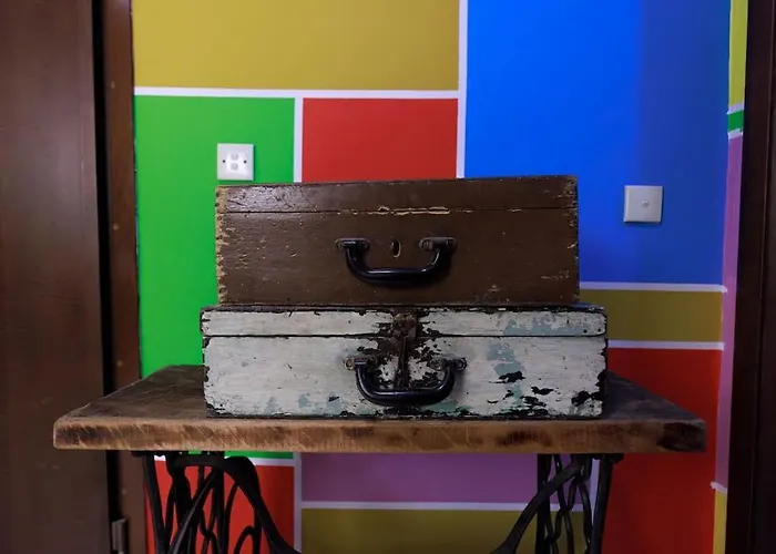 Viola - Lule Тирана