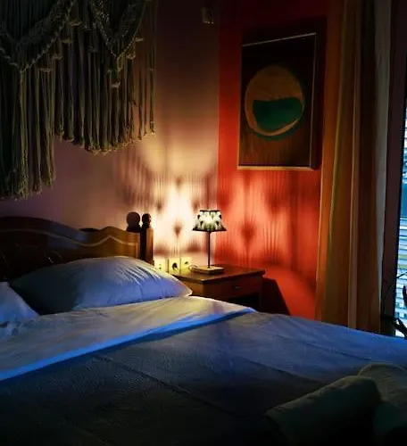 Viola - Lule * Тирана